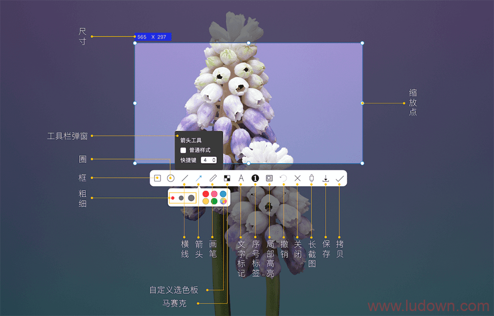 Mac截图录屏神器 iShot 2.1.0 中文版插图