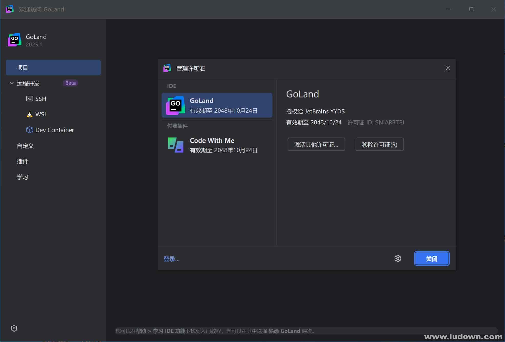 图片[1]-Go语言集成开发环境 JetBrains GoLand v2025.1 激活版-绿软部落